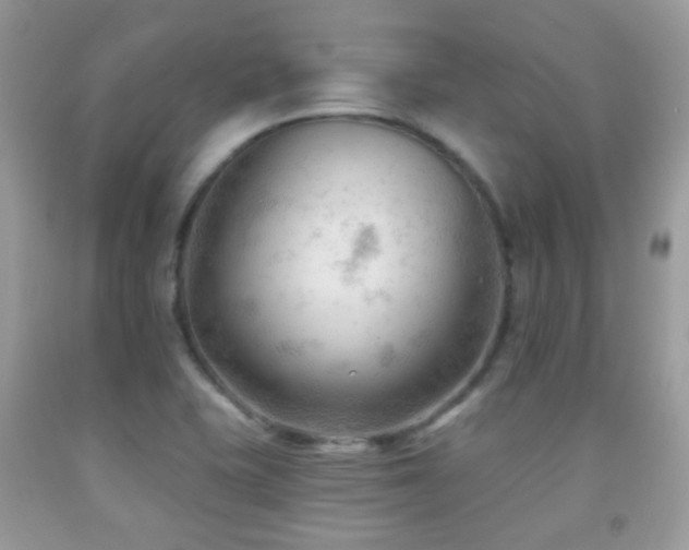 X0000091971415200709061321
