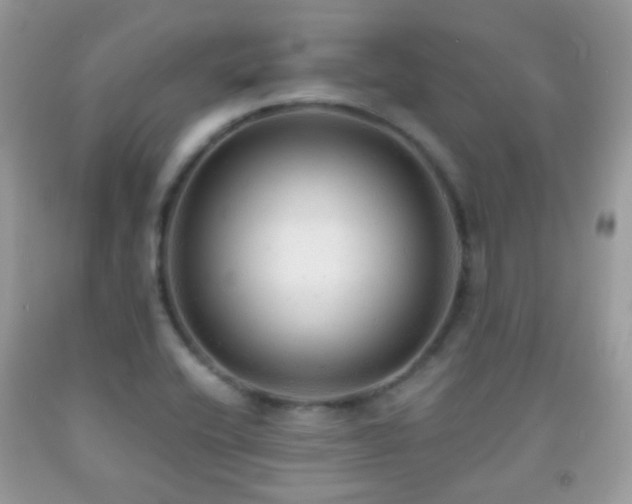 X0000091971416200709061321