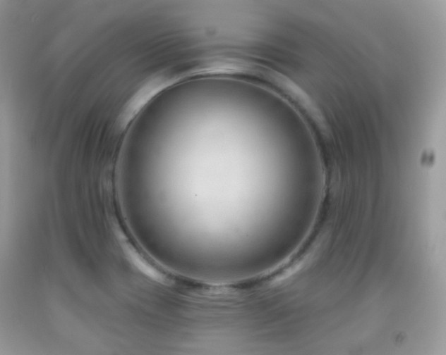 X0000091971417200709061321