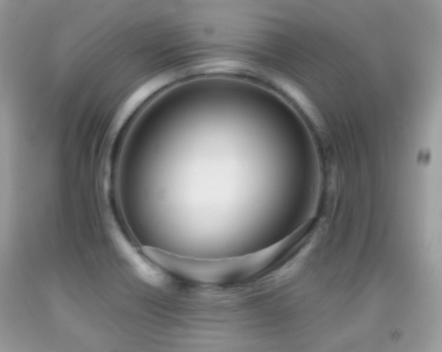 X0000091971418200709061321