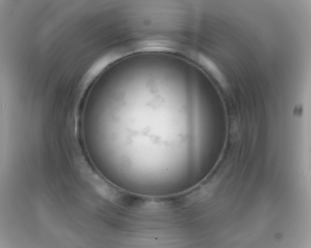 X0000091971419200709061321