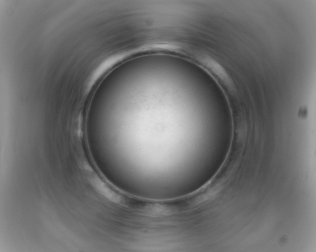 X0000091971420200709061321