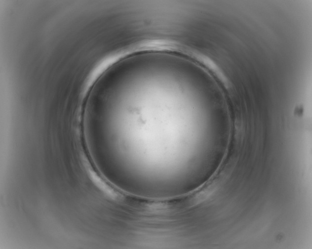 X0000091971421200709061321