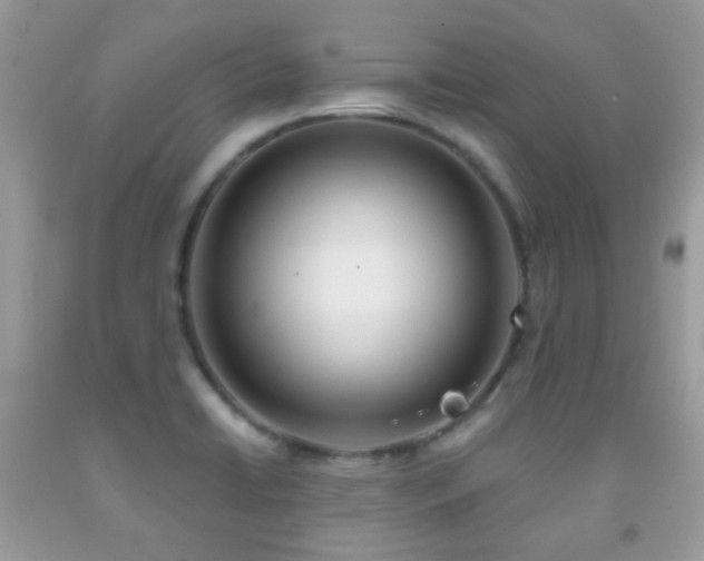 X0000091971422200709061321