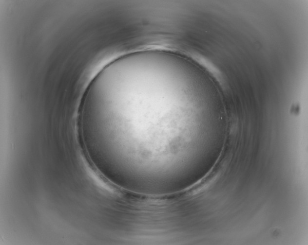 X0000091971423200709061321