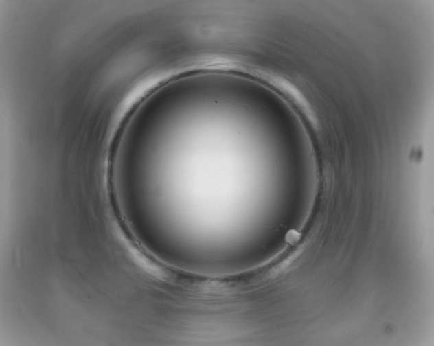 X0000091971424200709061322