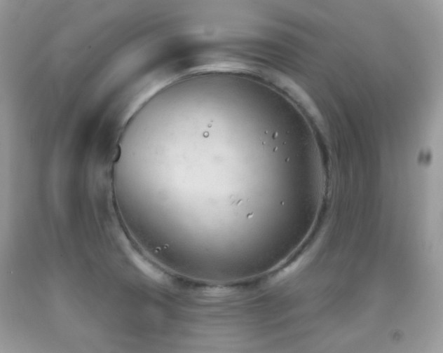 X0000091971425200709061322