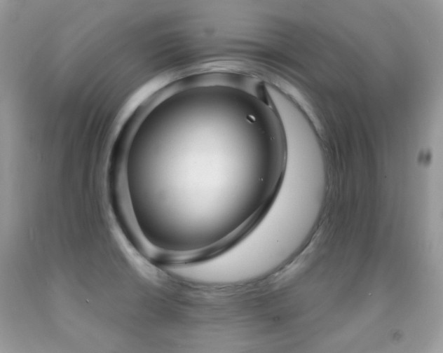 X0000091971426200709061322