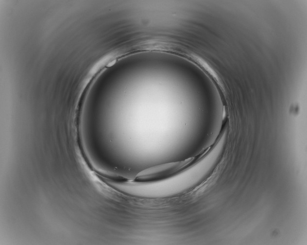 X0000091971434200709061322