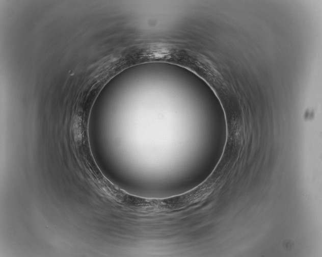 X0000091971442200709061321