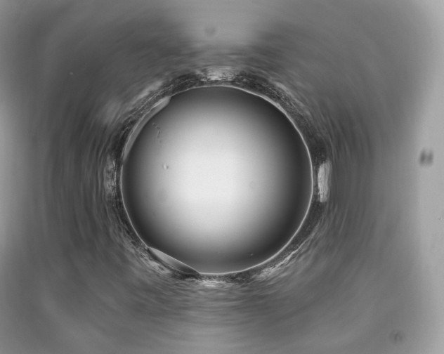 X0000091971443200709061321