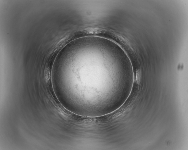 X0000091971444200709061321
