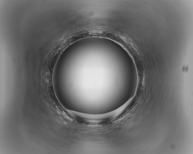 X0000091971445200709061321
