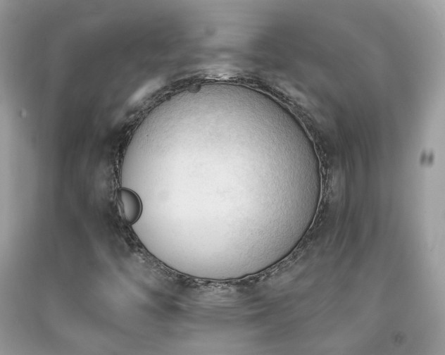 X0000091971446200709061321