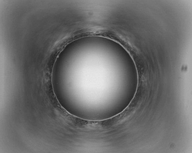 X0000091971447200709061321