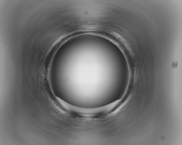 X0000091971449200709061321