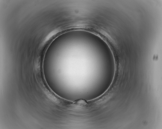 X0000091971450200709061321