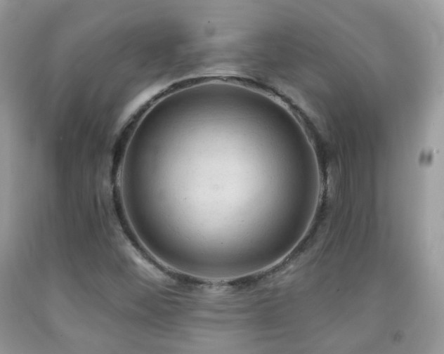 X0000091971452200709061321