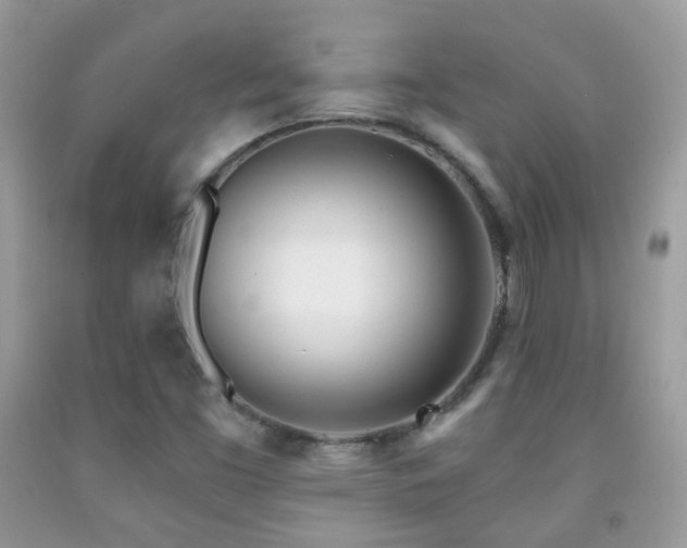X0000091971453200709061321