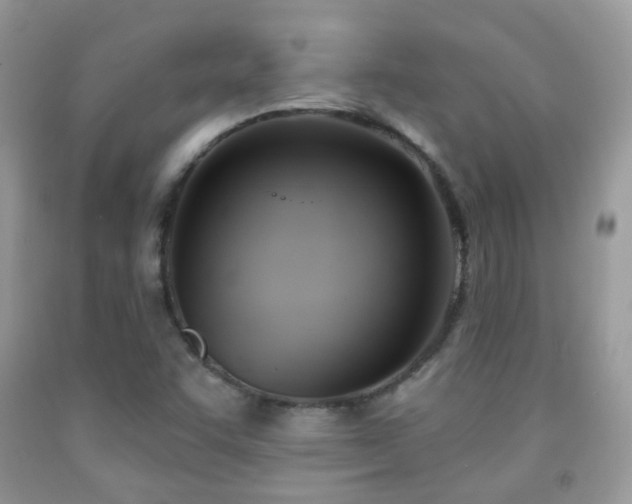 X0000091971455200709061321
