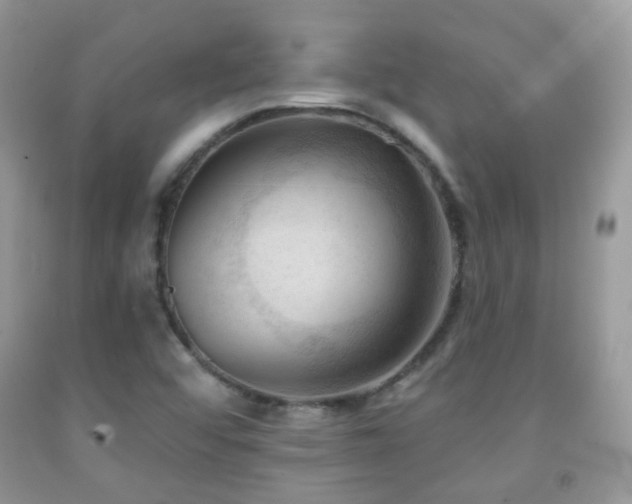 X0000091971456200709061321