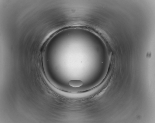 X0000091971457200709061321