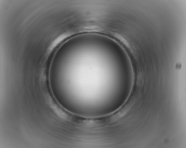 X0000091971458200709061321