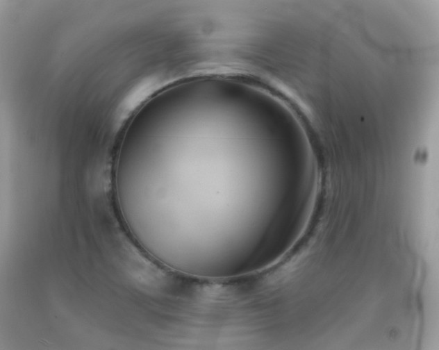 X0000091971459200709061321