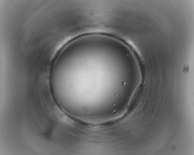X0000091971460200709061321