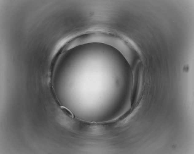 X0000091971461200709061321