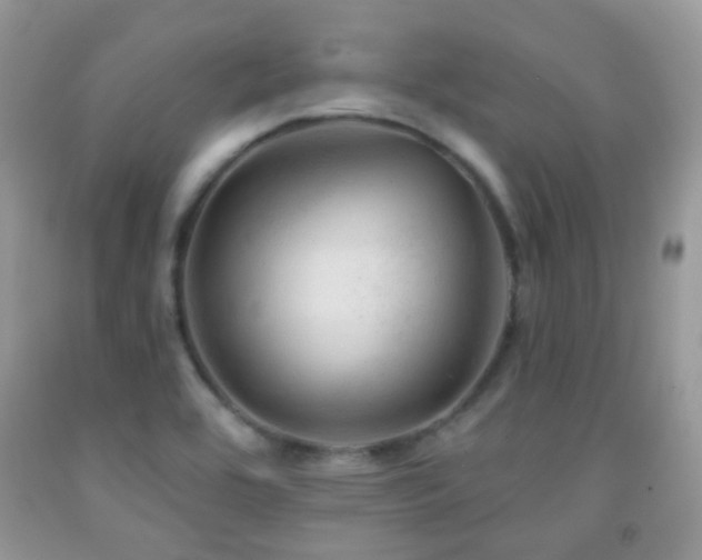 X0000091971464200709061321