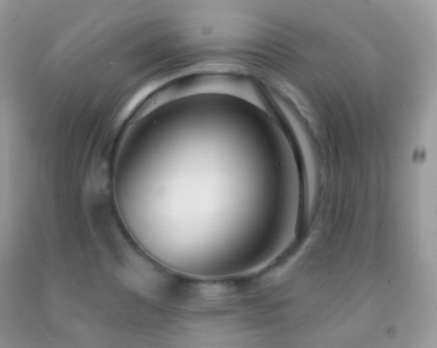 X0000091971465200709061320