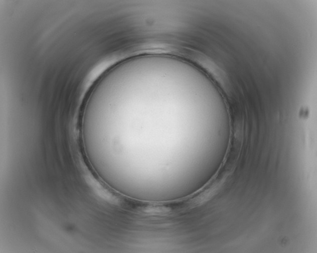 X0000091971466200709061320