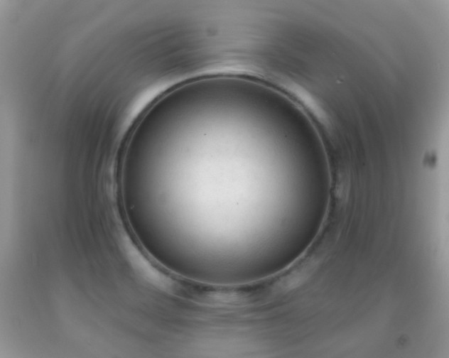 X0000091971468200709061320