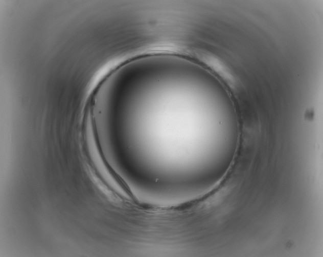 X0000091971469200709061320