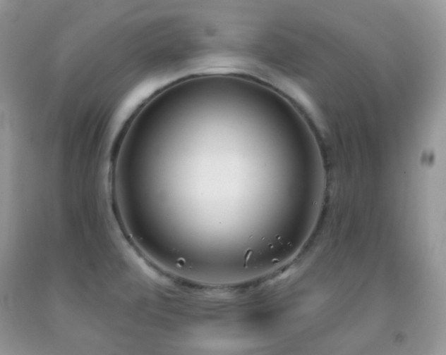 X0000091971472200709061320