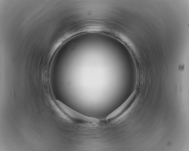 X0000091971473200709061320