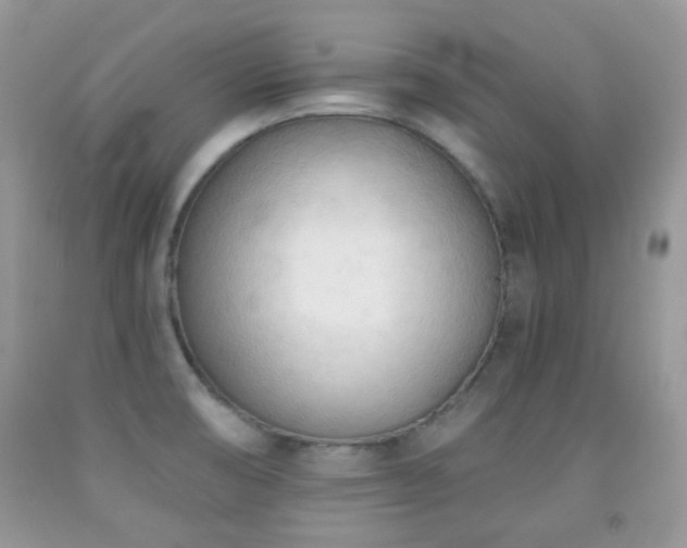 X0000091971474200709061320