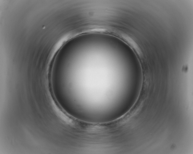X0000091971475200709061320