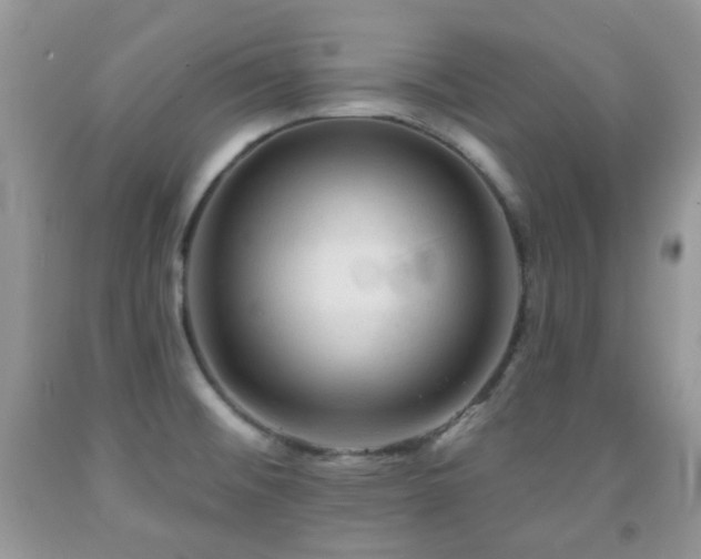X0000091971476200709061320