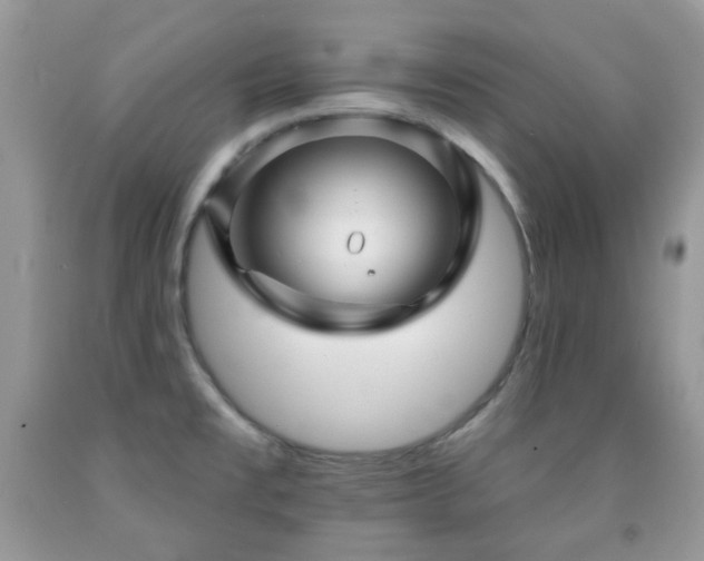 X0000091971477200709061320