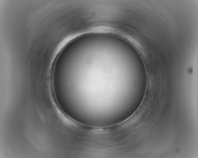X0000091971478200709061320