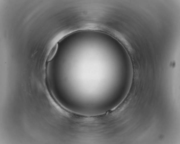 X0000091971479200709061320