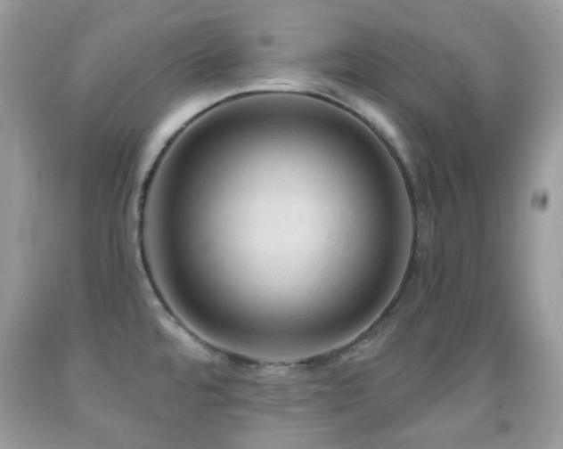 X0000091971480200709061320
