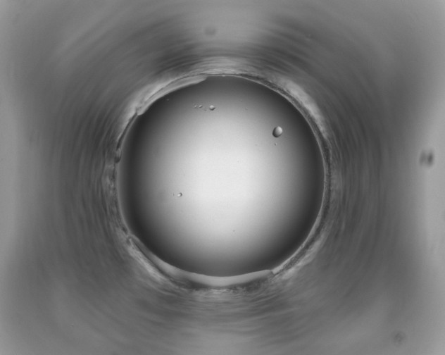 X0000091971481200709061320