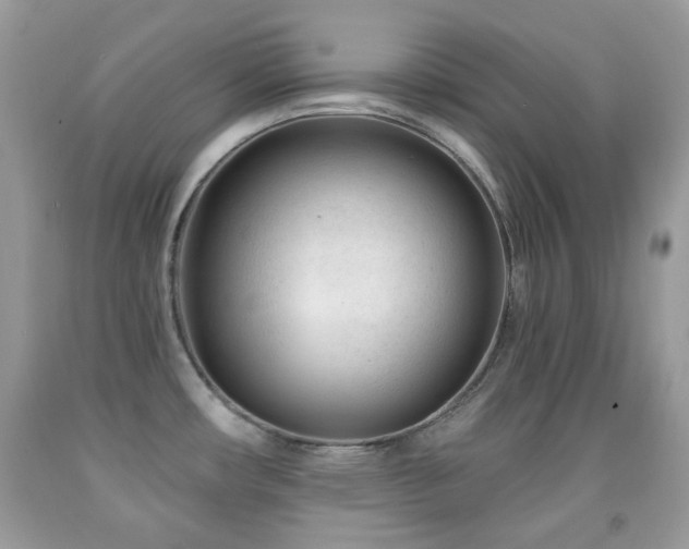 X0000091971482200709061320