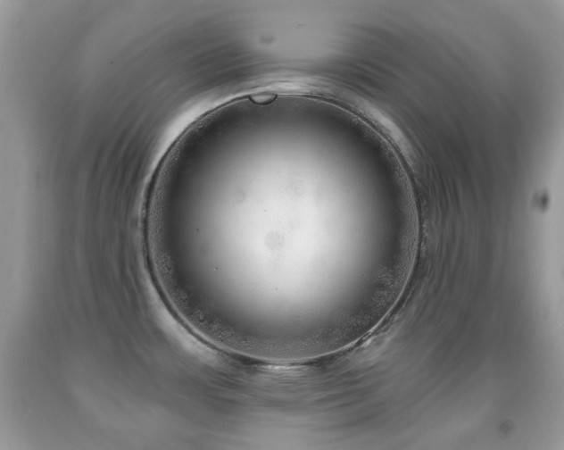 X0000091971483200709061320