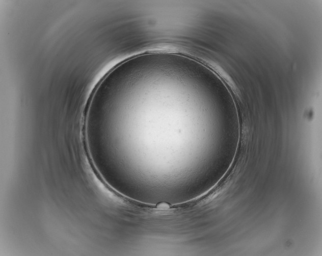 X0000091971484200709061320