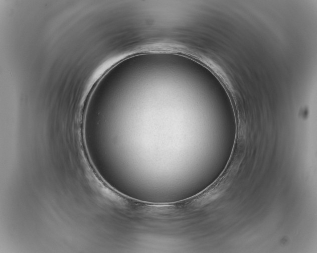 X0000091971486200709061320