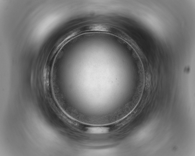 X0000091971487200709061320